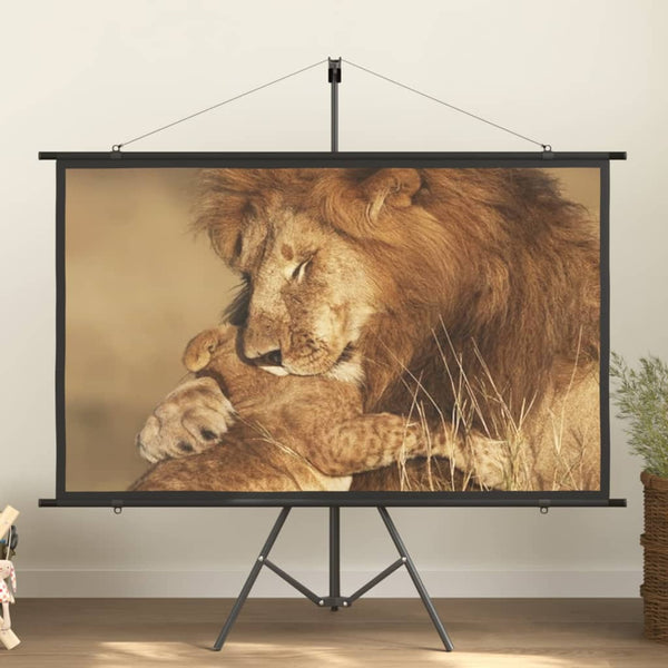 vidaXL Projector Screen 72" 16:9