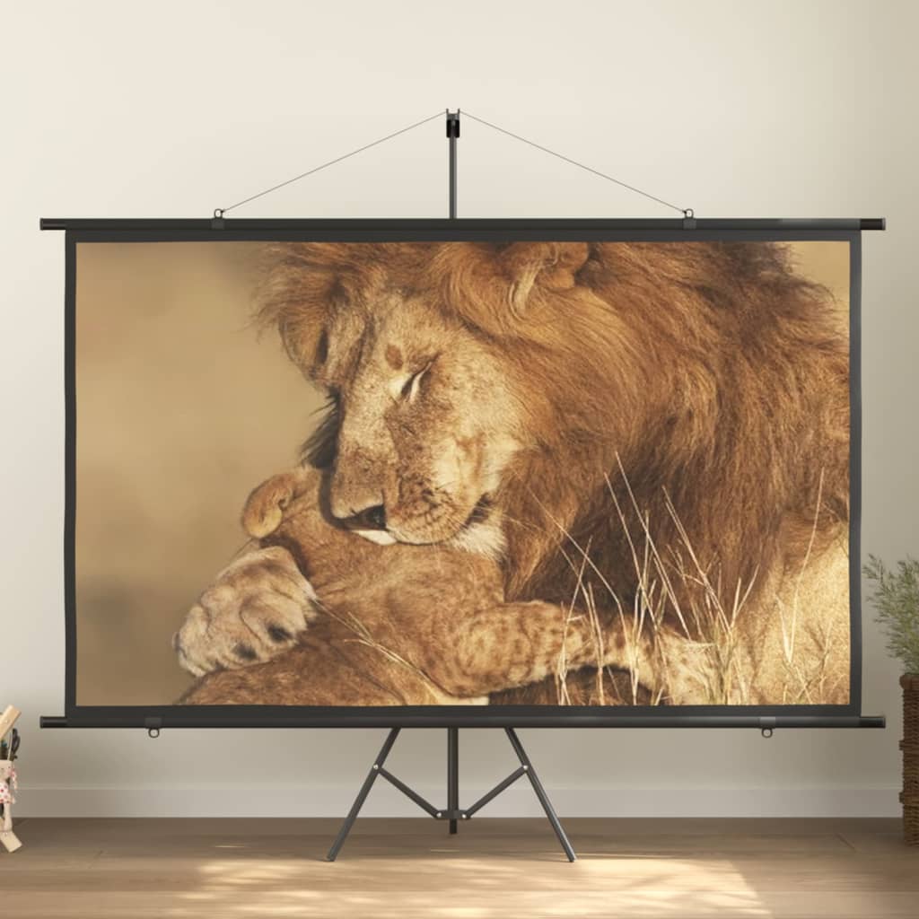 vidaXL Projector Screen 100" 16:9