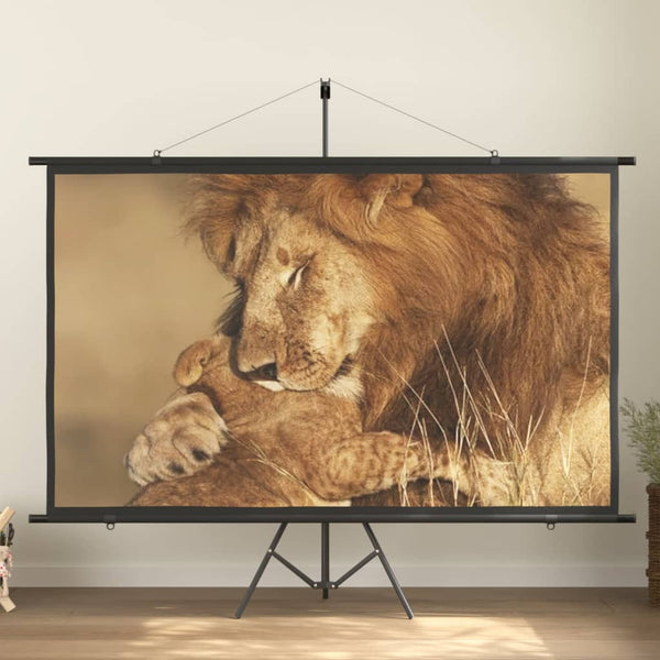 vidaXL Projector Screen 100" 16:9