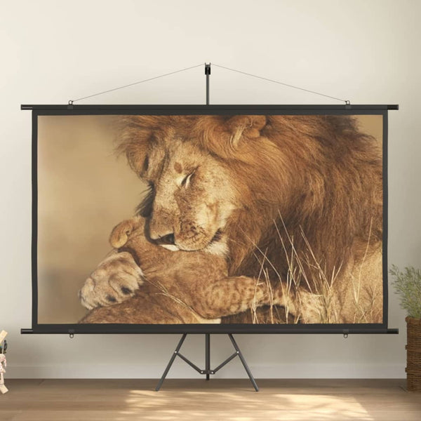 vidaXL Projector Screen 108 16:9