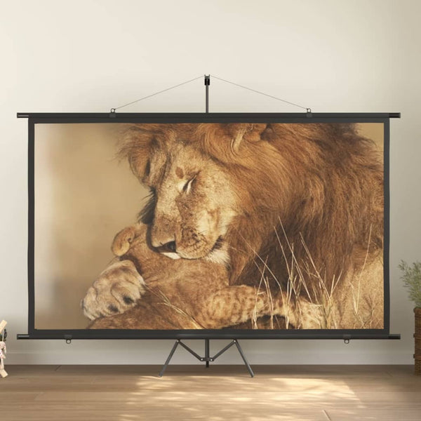 vidaXL Projector Screen 120 16:9