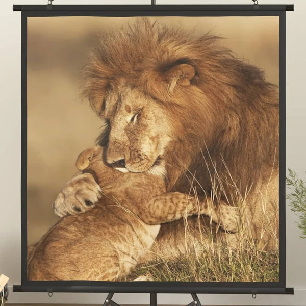 vidaXL Projector Screen 67" 1:1