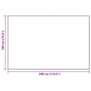vidaXL Outdoor Rug ARAKIL White and Black 190x290 cm PP