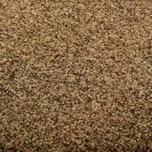 vidaXL Washable Doormat Brown 40x60 cm