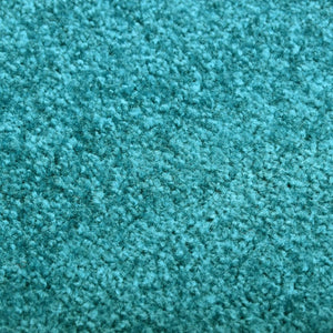 vidaXL Washable Doormat Cyan 40x60 cm