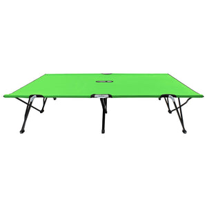 vidaXL Folding Double Sun Lounger Green Steel