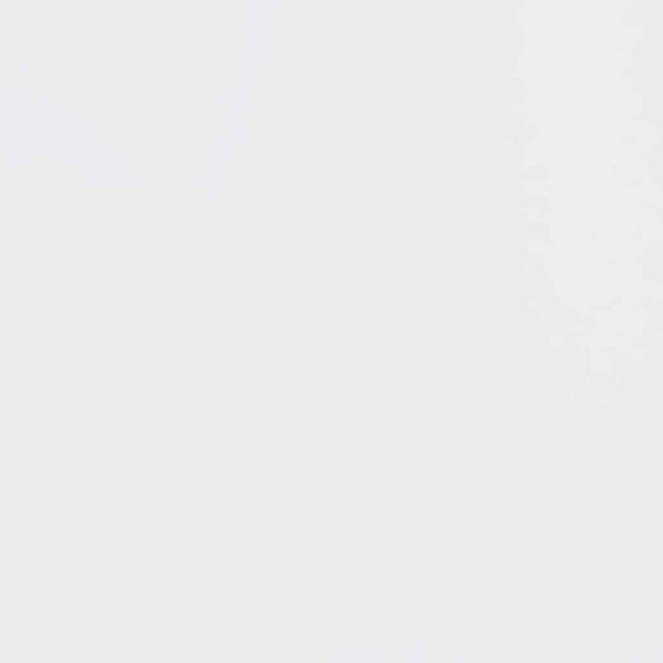 vidaXL Floating Wall Shelves 2 pcs High Gloss White 80x23.5x3.8 cm MDF