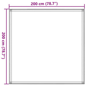 vidaXL Tent Carpet 200x200 cm Anthracite
