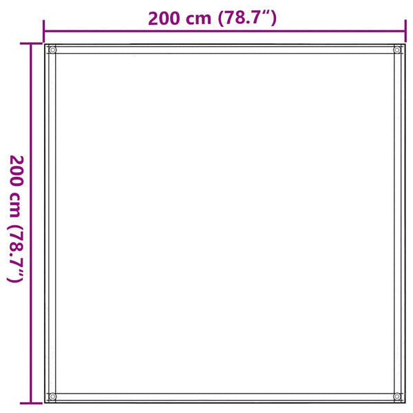 vidaXL Tent Carpet 200x200 cm Anthracite