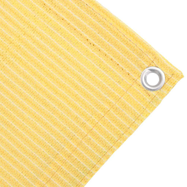 vidaXL Awning Carpet 200x300 cm Beige