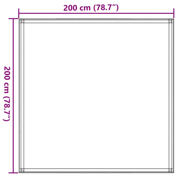 vidaXL Awning Carpet 200x200 cm Brown