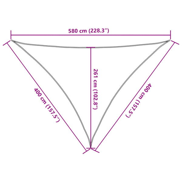 vidaXL HDPE Sun Shade Sail 160 gsm Anthracite 4x4x5.8 m
