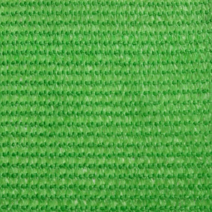 vidaXL Sun Shade Sail 160 g/m² Rectangular Light Green 2.5x5 m HDPE
