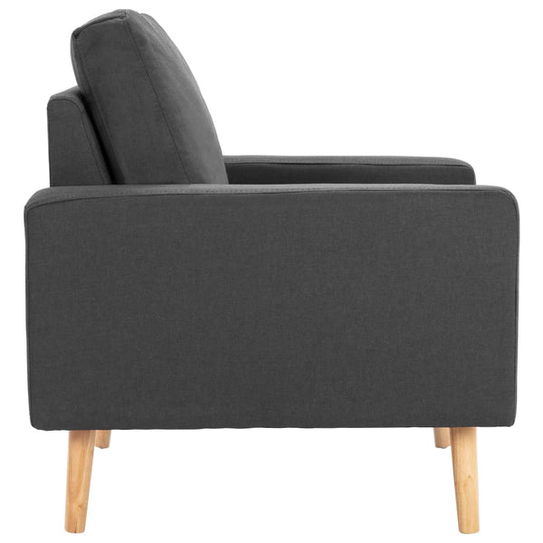 vidaXL 2-Seater Sofa Set Fabric Dark Grey