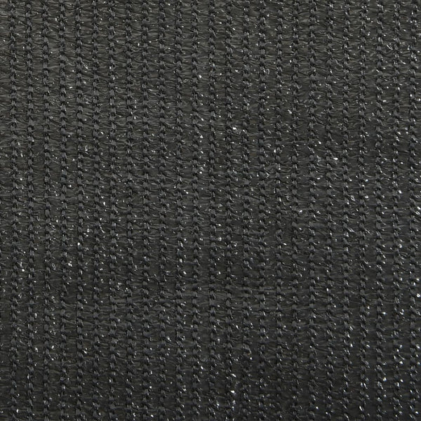 vidaXL Outdoor Roller Blind 80x140 cm Anthracite
