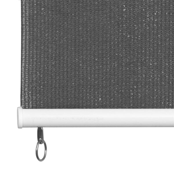 vidaXL Outdoor Roller Blind 60x230 cm Anthracite