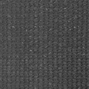 vidaXL Outdoor Roller Blind 60x230 cm Anthracite