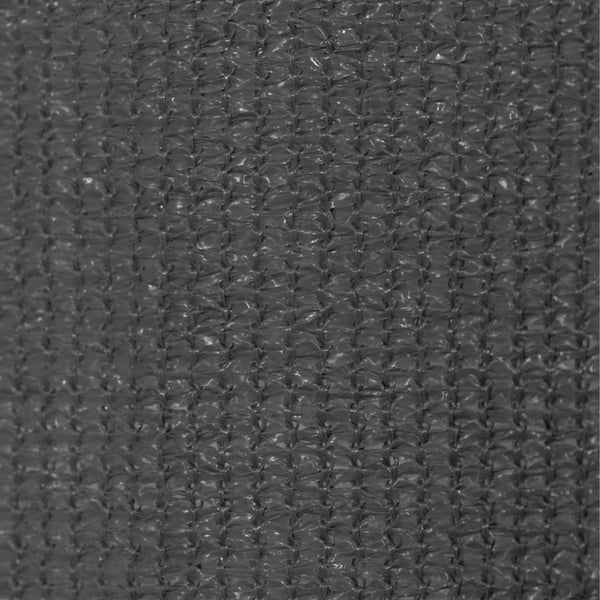 vidaXL Outdoor Roller Blind 60x230 cm Anthracite