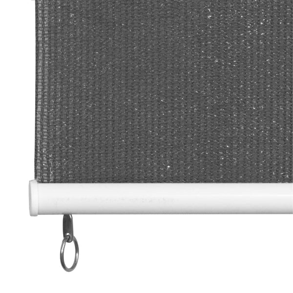 vidaXL Outdoor Roller Blind 80x230 cm Anthracite