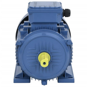 3-Phasen-Elektromotor Aluminium 3 kW 4 PS 2-Polig 2840 U/min