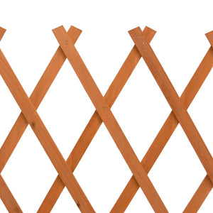 vidaXL Garden Trellis Orange 150x80 cm Solid Fir Wood