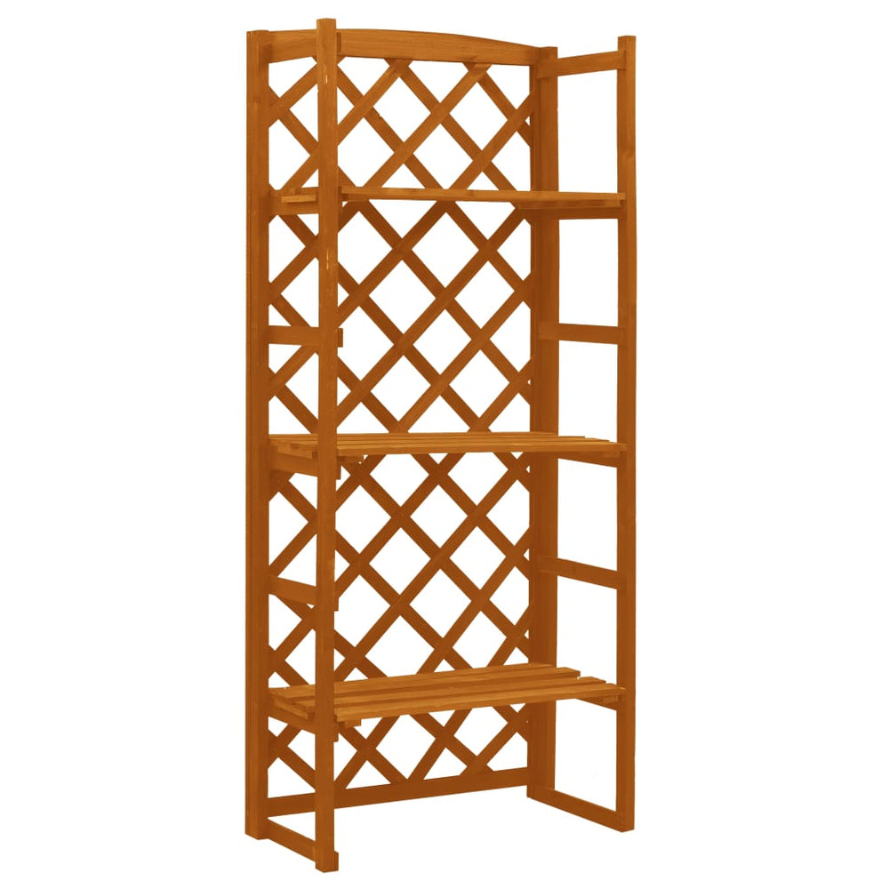vidaXL Orange Shelf Trellis 60x30x140 cm Solid Fir Wood