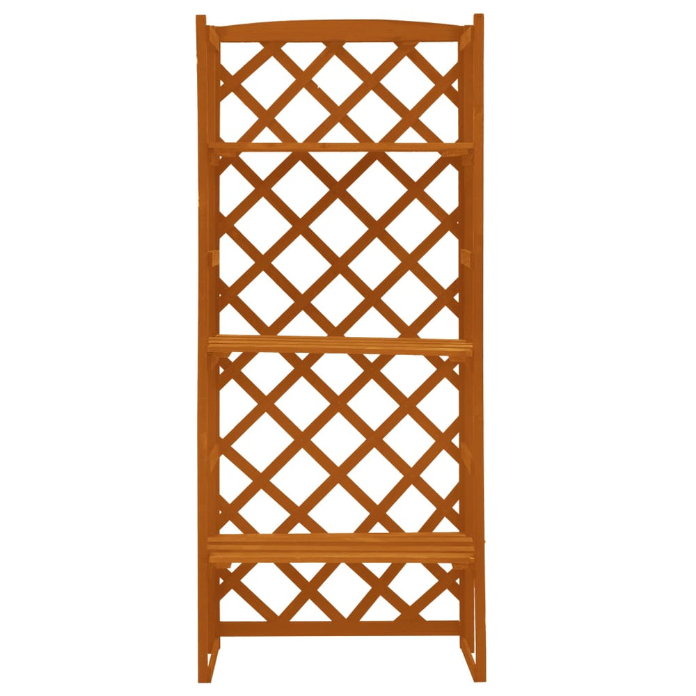 vidaXL Orange Shelf Trellis 60x30x140 cm Solid Fir Wood