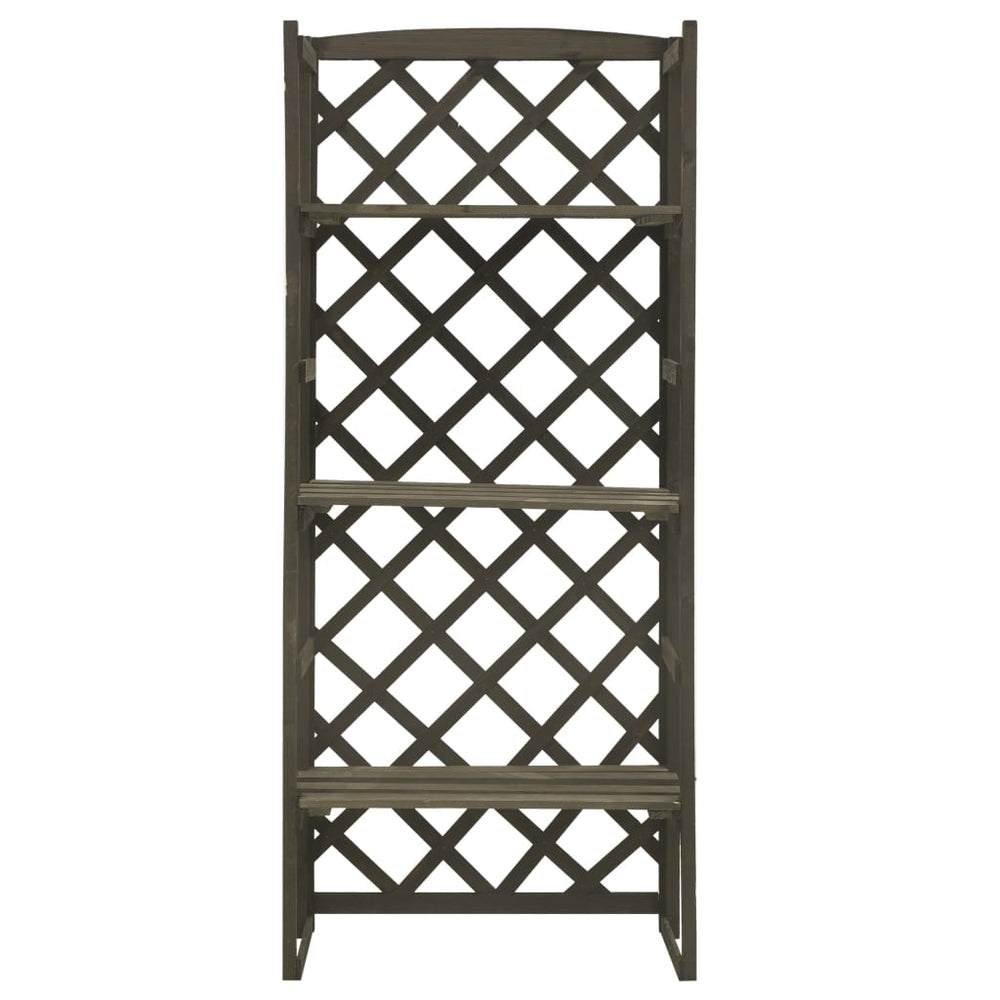 vidaXL Rack Trellis Grey 60x30x140 cm Solid Fir Wood