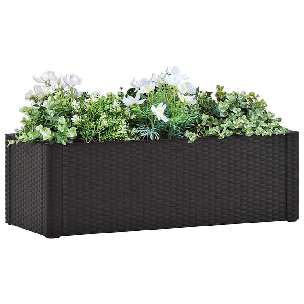 vidaXL Garden Raised Bed Self-Watering System Anthracite 100x43x33 cm