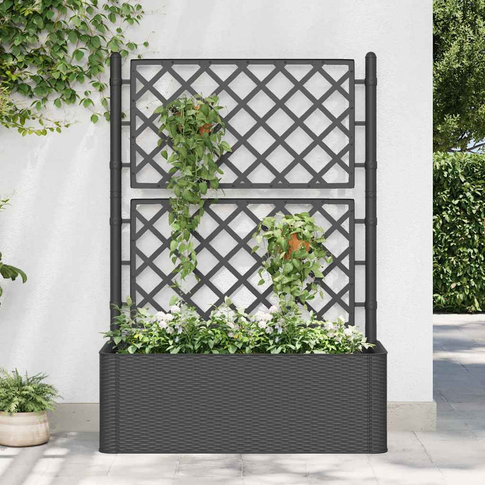 vidaXL Raised Garden Bed with Trellis Self-Watering System Anthracite