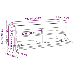 vidaXL TV Cabinet with LED Lights Black 100x35x40 cm