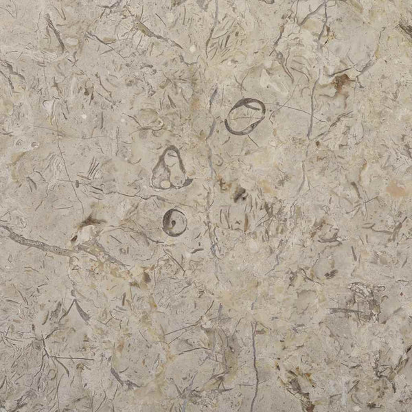 vidaXL Tabletop Grey Ø50x2.5 cm Marble
