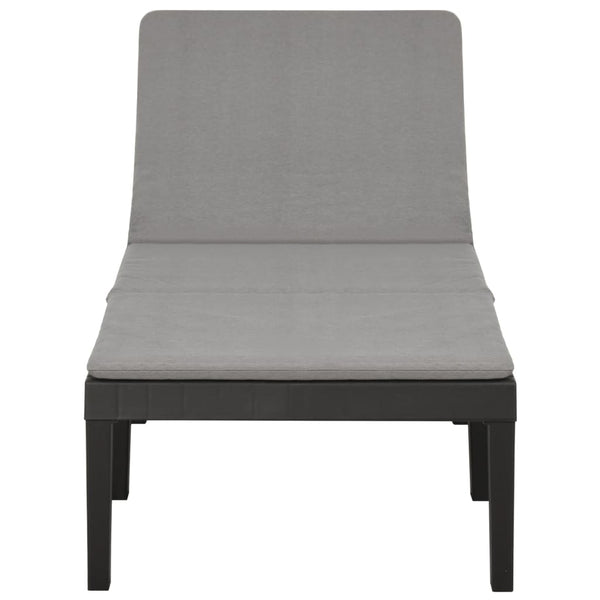vidaXL Sun Lounger with Cushion Plastic Anthracite