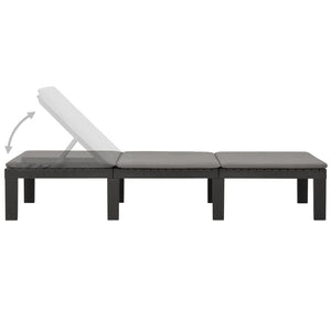 vidaXL Sun Lounger with Cushion Plastic Anthracite