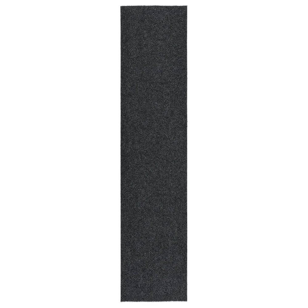 Schmutzfangläufer Anthrazit 100x450 cm