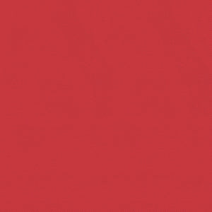 vidaXL Playpen with 2 Doors Red Oxford Fabric