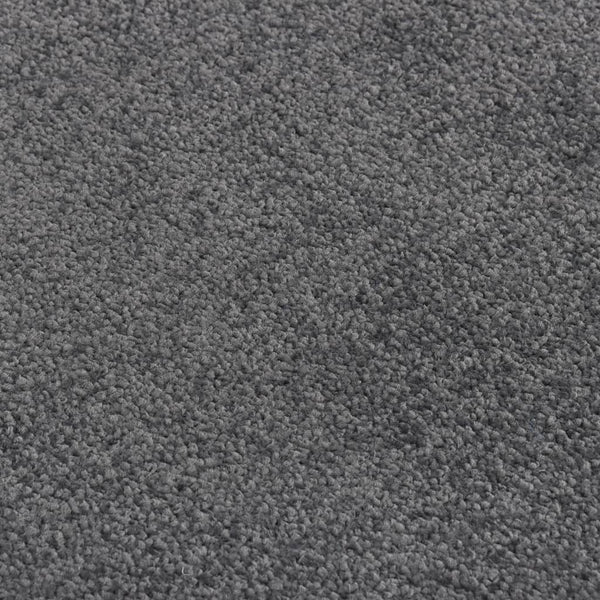 vidaXL Doormat 60x80 cm Anthracite