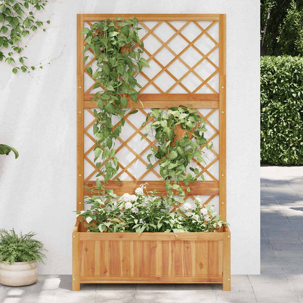 vidaXL Raised Garden Bed with Trellis 85x38x150 cm Solid Acacia Wood