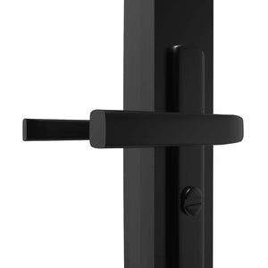 vidaXL Interior Door Tempered Glass and Aluminum 76x201.5 cm Black