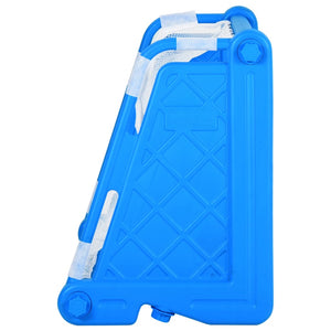 vidaXL Kids' Football Goal 100x75x55 cm Plastic