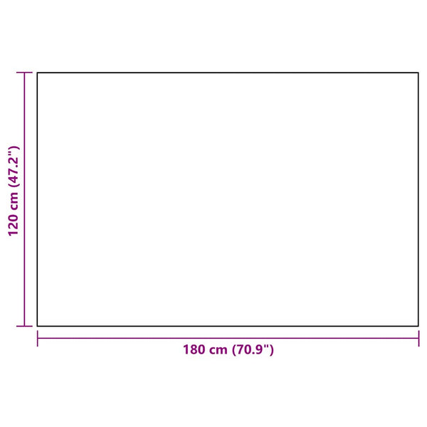 vidaXL Outdoor Rug ARAKIL Black 120x180 cm PP