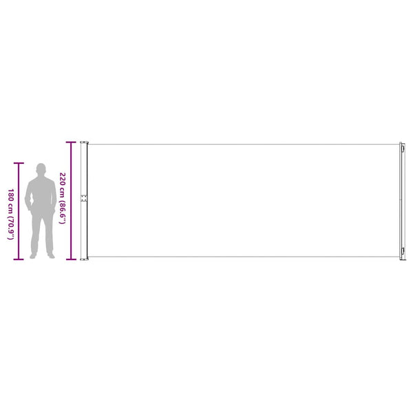 vidaXL Retractable Side Awning 220x600 cm Black