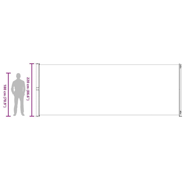 vidaXL Retractable Side Awning 220x600 cm Grey