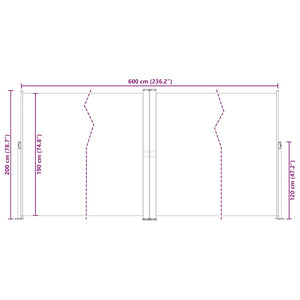 vidaXL Retractable Side Awning Black 200x600 cm