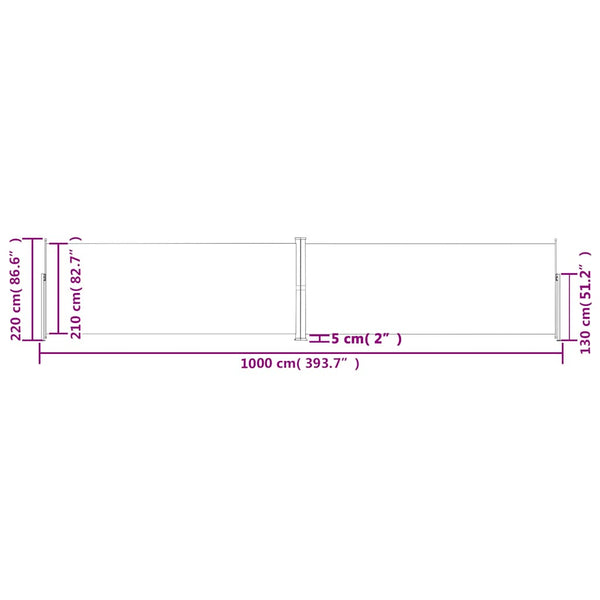 vidaXL Retractable Side Awning Anthracite 220x1000 cm