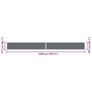 vidaXL Retractable Side Awning Anthracite 117x1200 cm