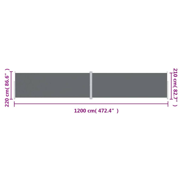 vidaXL Retractable Side Awning Anthracite 220x1200 cm