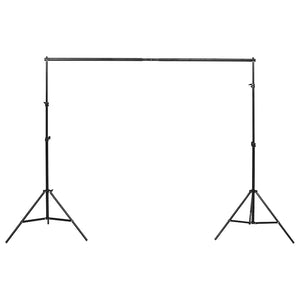 vidaXL Photo Studio Lighting Kit