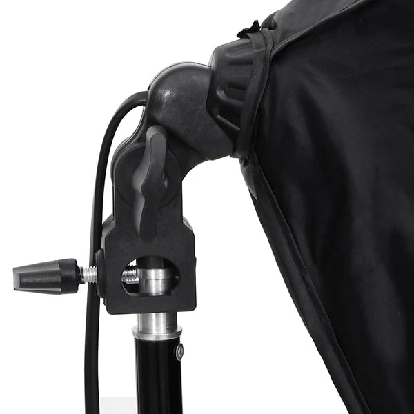 vidaXL Professional Studio Lights 2 pcs. 40x60 cm
