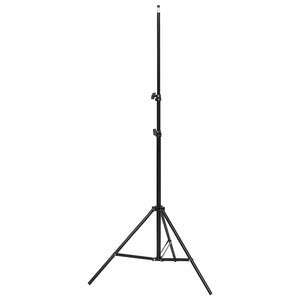 vidaXL Professional Studio Lights 2 pcs. 40x60 cm